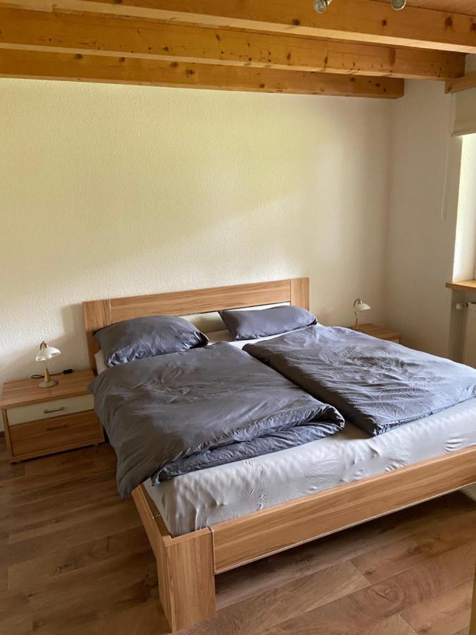 Ferienwohnung Im Herzen Graubuendens Surava Luaran gambar